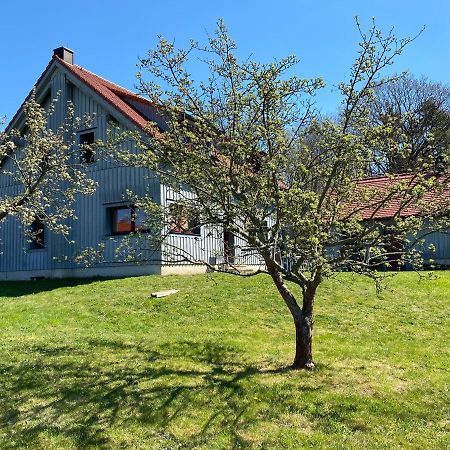 Apartament Waldhaus Am Lilienstein Königstein an der Elbe Zewnętrze zdjęcie