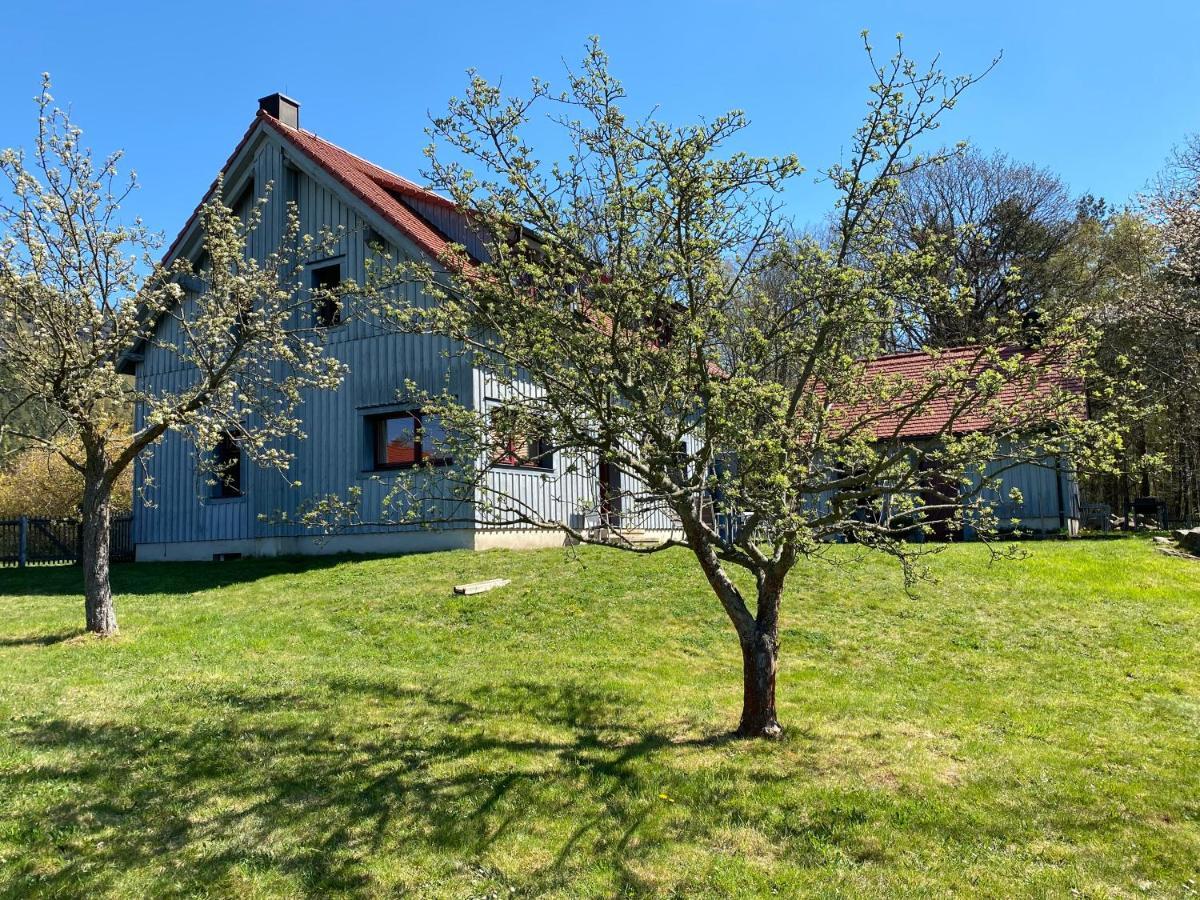 Apartament Waldhaus Am Lilienstein Königstein an der Elbe Zewnętrze zdjęcie